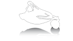 Rotary Mowers